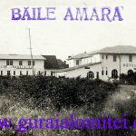 baile amara 1933