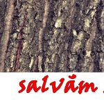 header2
