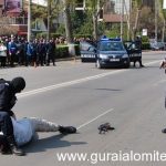 1613926_253515391487786_516600062_n