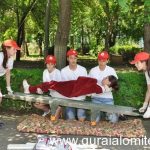 sanitarii priceputi – tandarei