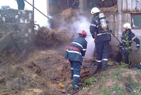 incendiu-adapost-animale