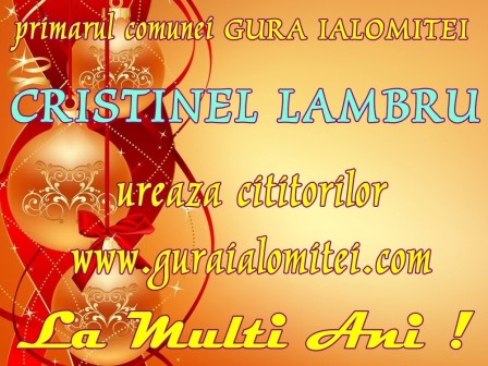 cristinel lambru