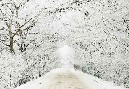 1048107_840030486023198_1856655365_o