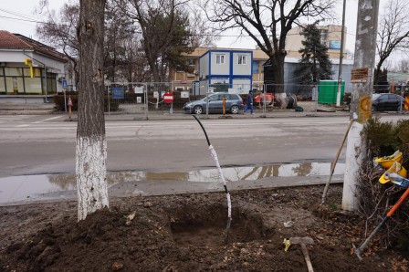 12657232_1386663851359856_773308907645452045_o