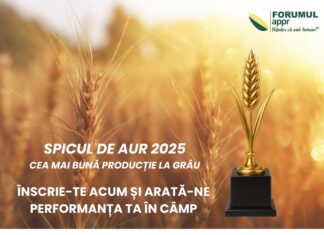SPICUL DE AUR 2025 – Concursul Forumului APPR pentru excelență în producția de grâu